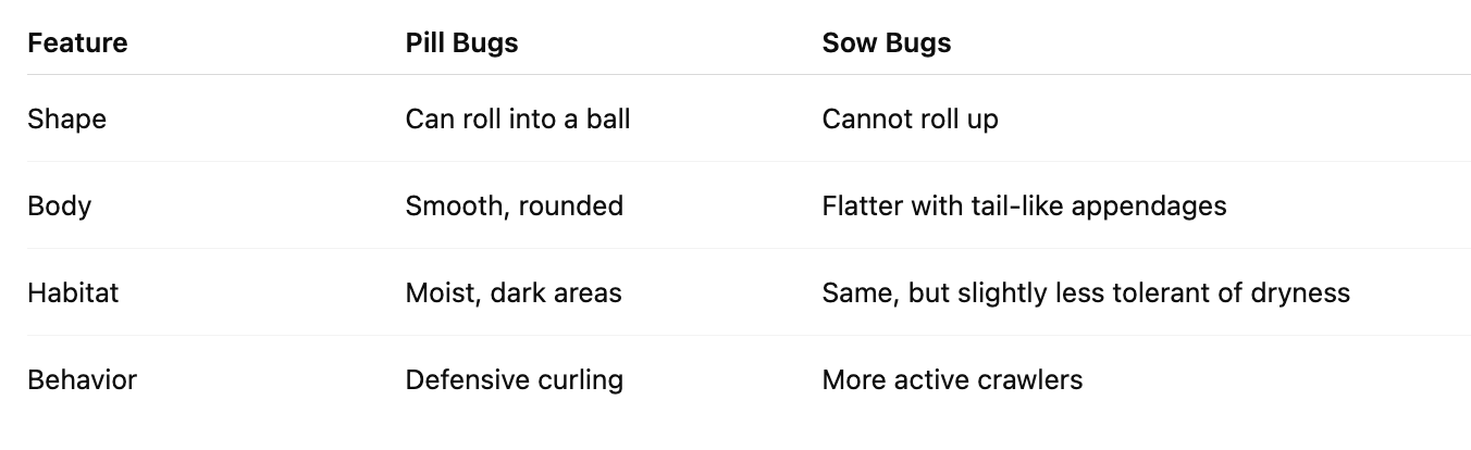 pill bugs vs sow bugs table