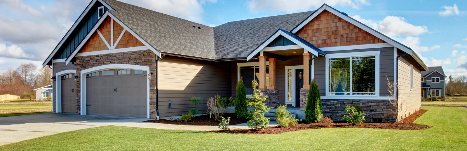 What Are Elm Seed Bugs? How To Get Rid of Maple Bugs