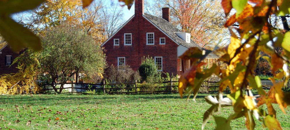 brown house with fall leaves