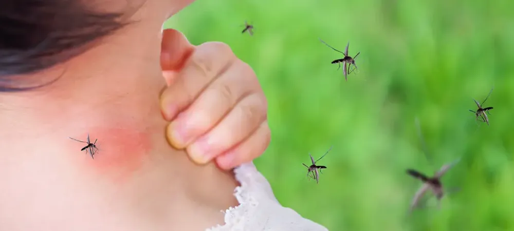 being attacked by mosquitoes