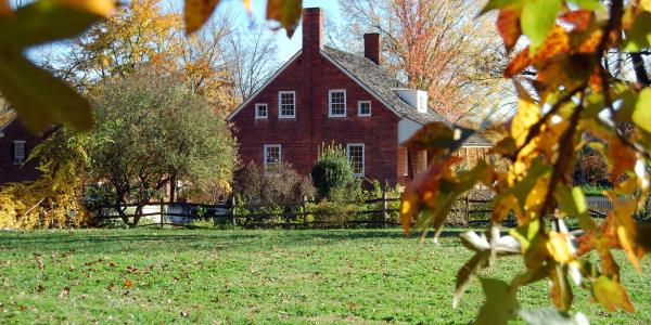 brown house with fall leaves
